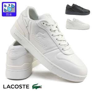 LACOSTE（ラコステ） （レディース）カジュアルシューズ 49SFA0019407