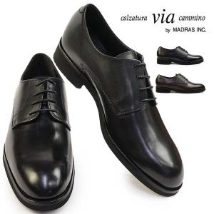 MoonStar（ムーンスター） 3E幅 やや幅広 メンズ バランス ワークス