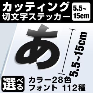 1文字からOK！15cmまで同価格！（5.5〜15cm）屋外5年程度 文字シール ステッカー 車 オーダーメイド 看板 扉 カッティングステッカー かっこいい おしゃれ [◆]