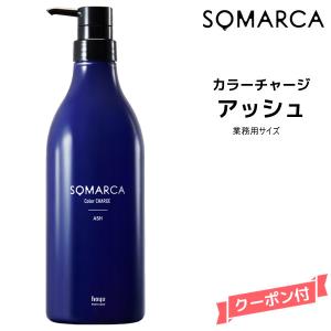 napla（ナプラ） アクセスフリー パウダーブリーチ 500g ×4セット
