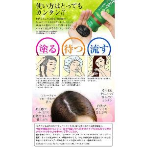 頭皮 に 優しい カラー 1587