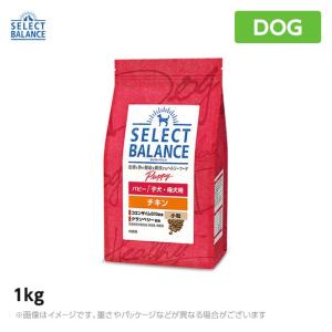 セレクトバランス パピーチキン 小粒  1kg ドッグフード 仔犬 幼犬 チキン(1070194)｜mystyle-pet