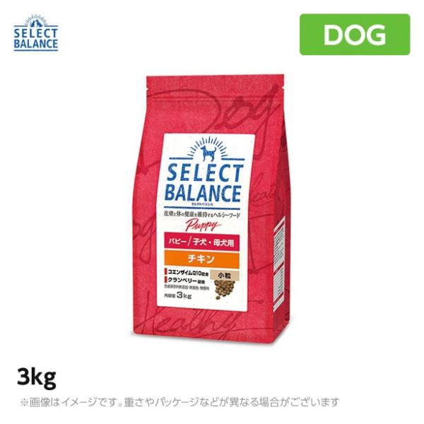 セレクトバランス パピーチキン 小粒  3kg ドッグフード 仔犬 幼犬 チキン(1070195)