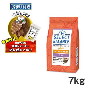 【500円オフクーポンが使える】セレクトバランス スリムラム 小粒 7kg ドッグフード 成犬 ダイエット 減量 肥満 アレルギー対応（1070213）