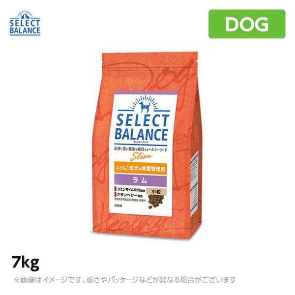 【500円オフクーポンが使える】セレクトバランス スリムラム 小粒 7kg ドッグフード 成犬 ダイ...