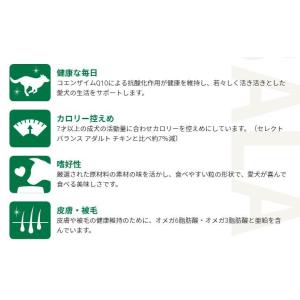 セレクトバランス エイジングケア チキン 小粒...の詳細画像4