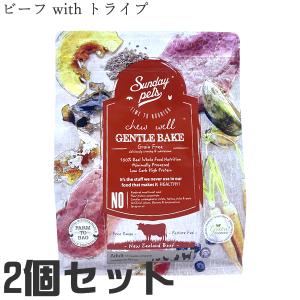 ELMO エルモ プロフェッショナーレ キャットフード インドアアダルト