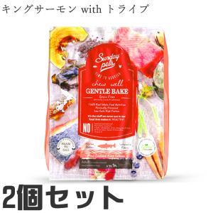 【2個セット】サンデーペッツ ドッグ ジェントルベイク キングサーモン with トライプ 1.3kg  ドッグフード 無添加 ニュージーランド産