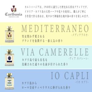 【国内正規品】 カルトゥージア オードパルファ...の詳細画像1