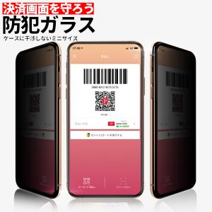iPhone 13 Pro Max mini ガラス フィルム 覗き見 防止 アイフォン 12 Pro Max mini SE3 SE2 11 XR XS 防犯 保護 シート 目隠し スマホ セキュリティ 画面