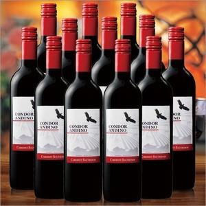 ワイン ワインセット 赤ワイン コンドール アンディーノ カベルネ ソーヴィニヨン１２本セット 送料無料 赤ワイン フルボディ アルゼンチン｜mywine
