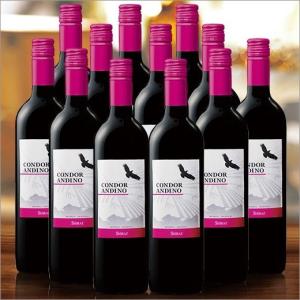 ワイン 赤ワインセット コンドール アンディーノ シラーズ １２本セット ７５０ｍｌ 送料無料 赤ワイン フルボディ アルゼンチン｜mywine
