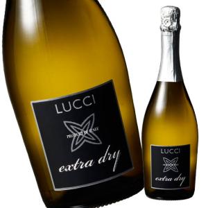 ワイン スパークリングワイン ルッチ・エクストラ・ドライ（白・辛口・発泡）