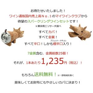 ワイン スパークリングワインセット すべてカバ...の詳細画像2