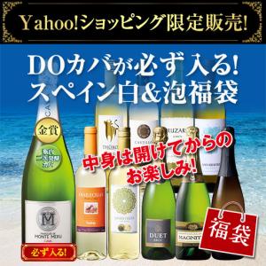ワインセット 赤白ロゼ泡 スパークリング 格安 送料無料 エブリデー泡
