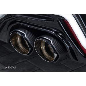 スリーキャッツ AZSH20 220クラウン 2.5L ハイブリッド RS 100Φ