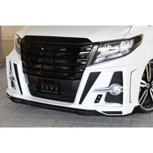 30系アルファード Sグレード 純正バンパー用LEDデイライトキット FRP未