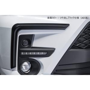 M'z SPEED 【単色塗装済品】[ライズ A200A]ラヴライン リアゲート