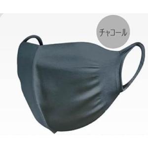 セール 2枚入り チャコールグレー マスク 日本製 洗える 衛生用品 男女兼用 立体構造 セール