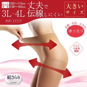 3L 4L ストッキング 大きいサイズ つま先補...の商品画像