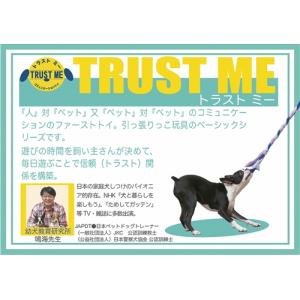P-4580610081027 エーアイプロダクツ トラストミー ロープパピー ブルー