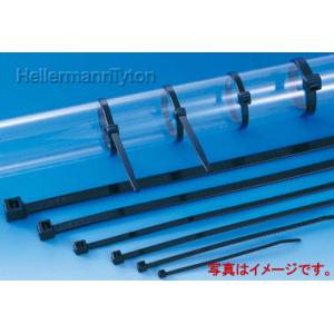 ヘラマンタイトン 結束バンド インシュロック AB450-W （黒色