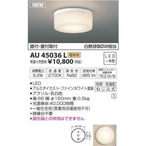 コイズミ LEDポーチライト AU45036L （電球色）