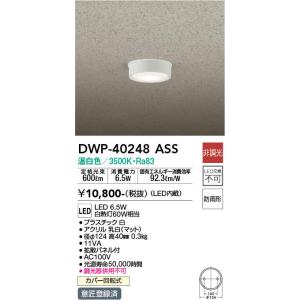 大光電機 DWP-40248ASS LEDアウトドア 軒下シーリング 温白色 白熱灯60W相当