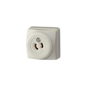 Panasonic（パナソニック） パナ 2P15A 引掛露出コンセント(ミルキー