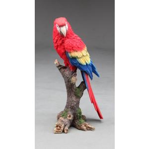 インコ　