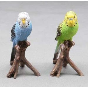 インコ　（小）