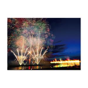 未開封】この空の花 長岡花火物語 プレミアムボックス この空の花 長岡花火物語 プレミアムボックス('11「長岡映画