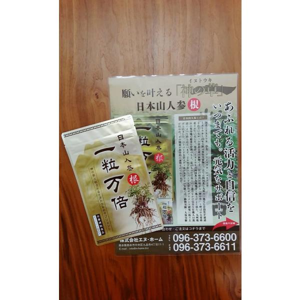 日本山人参イヌトウキ根のみ使用 『一粒万倍』150粒！日本国内栽培・ＧＭＰ認定工場製造で安心安全。