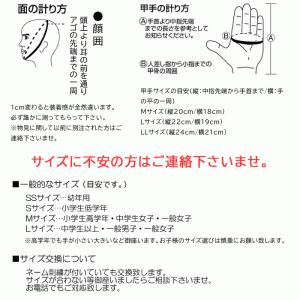 剣道具 剣道防具 胴抜きセット 鎧 YOROI...の詳細画像4
