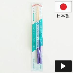 FUJIEI ほんとうにすべらないお箸 STS-04 ポタリー パープル 箸職人が作る塗り箸 藤栄 フジエイ