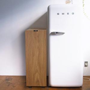 【廃】橋本達之助工芸 バスク キッチンペール 45L BW ブラウン 茶色 210×440×H620mm 4.7kg タツクラフト))