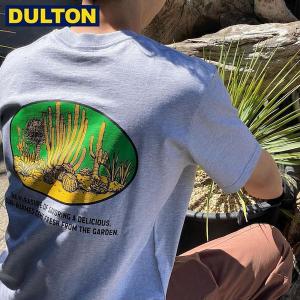 DULTON ダルトン Tシャツ スワロー L グレー (品番：T23-0651L/GY) BOTANY T-SHIRT SAGUARO L/GY ダルトン インダストリアル アメリカン ヴィンテージ｜n-kitchen