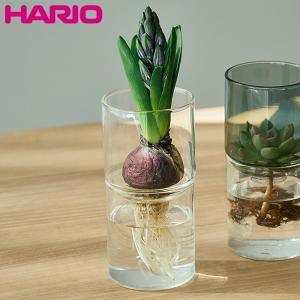 HARIO 「ガラスのある生活」 ガラスの花器 クリア GK-200-T ハリオ))｜n-kitchen