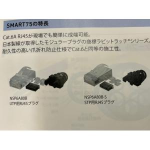 ＮＳＰ６Ａ８０Ｂ　Ｃａｔ６Ａ　ＲＪ４５　（１００個入り）