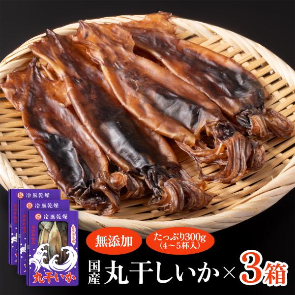 日本海 丸干しいか (300g×3個) わた入り 肝入り 干物 新潟 佐渡 佐藤漁業