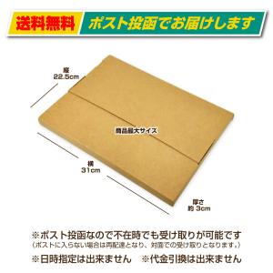 藻塩 (300g) 佐藤寛伝承 こだわりの塩 ...の詳細画像2