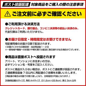 藻塩 (300g) 佐藤寛伝承 こだわりの塩 ...の詳細画像4