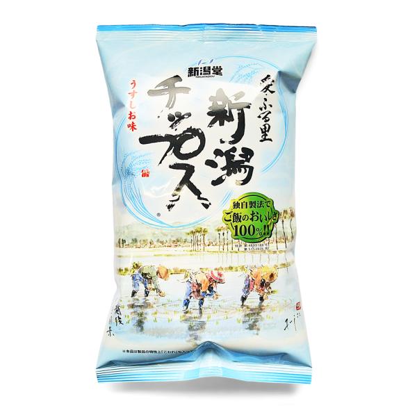 新潟堂 新潟チップス うすしお味 100g 新潟 お土産 米菓 米 チップス 爆買