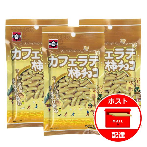柿の種 チョコ 3袋セット 浪花屋製菓 カフェラテ柿チョコ 新潟 お土産 お試し ポイント消化