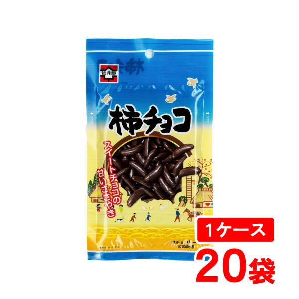 柿の種 チョコ 浪花屋製菓 柿チョコ 1箱(40g×20袋) 新潟 お土産 お取り寄せ