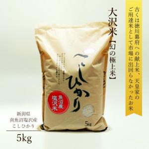 令和8年産 新米 5kg こしひかり 魚沼 塩沢産 大沢米 松屋米店 爆買 ギフト 2026