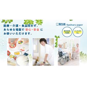 大富士製紙 フジエコクリーン エコノミーサイズ...の詳細画像3