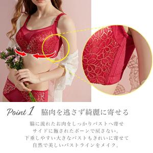 【クーポンで最大半額!!1,490円】ブラジャ...の詳細画像1