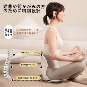 姿勢サポートチェア 骨盤サポートチェア 椅子 ...の詳細画像3