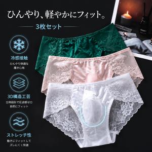 メンズビキニ　オールウェックス ブリーフ レース メッシュ 透け感下着 立体フロント 3D構造 通気性 軽量 伸縮 フィット 男性用 送料無料